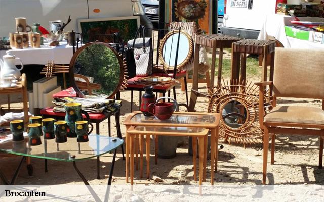 Brocanteur  91670