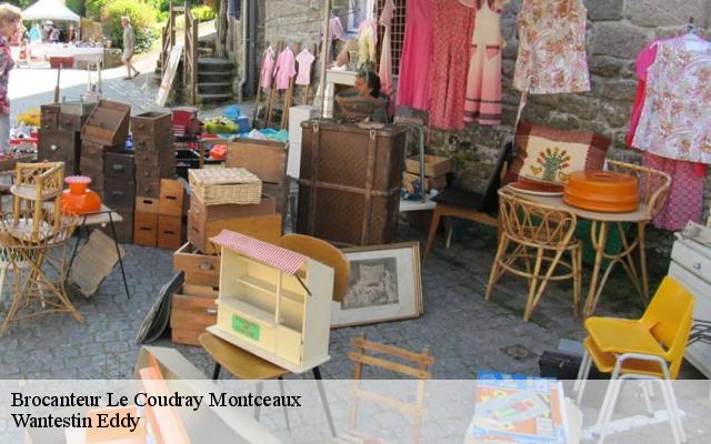 Brocanteur  91830