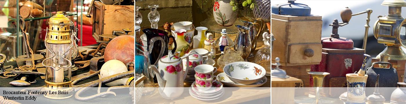 Brocanteur  fontenay-les-briis-91640 Wantestin Joseph