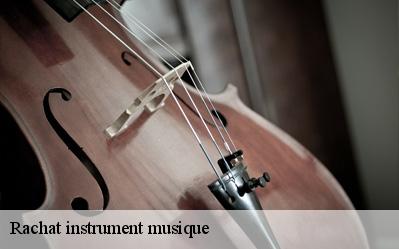 Rachat instrument musique  91670